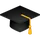 icons8-graduation-96